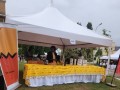 esgueure3